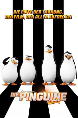 Poster Die Pinguine aus Madagascar 2014