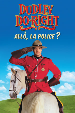 Poster Allô, la Police ? 1999