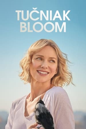 Poster Tučniak Bloom 2021