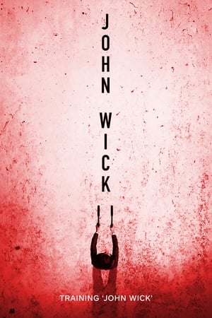Poster Training 'John Wick' 2017