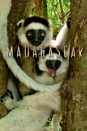Image Madagascar, le monde perdu