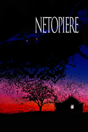 Poster Netopiere 1999
