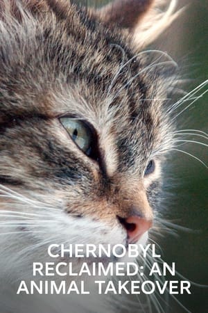 Poster Černobyl ožívá: Návrat divočiny 2007