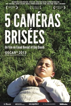 Poster 5 Caméras Brisées 2011