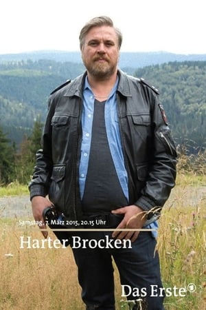 Poster Harter Brocken 2015