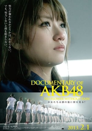 Image DOCUMENTARY of AKB48 No flower without rain 少女たちは涙の後に何を見る？