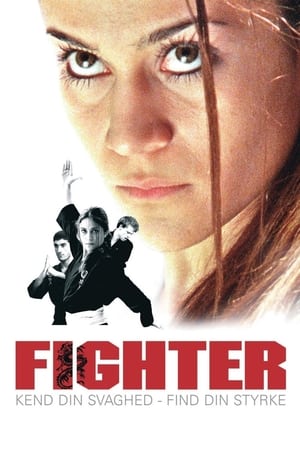 Poster Fighter 2007