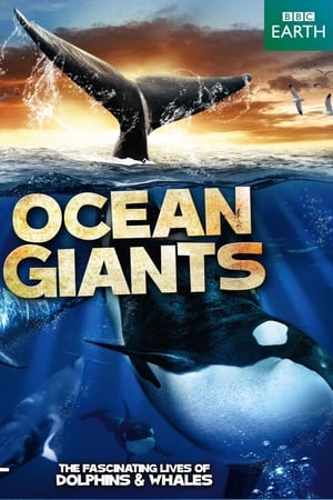 Poster BBC: Морские гиганты 2011