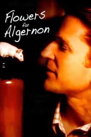 Poster Flowers for Algernon 2000