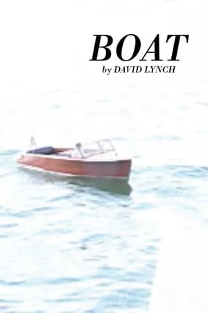 Poster Boat 2007