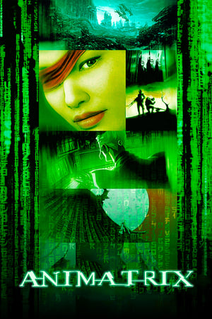 Poster Animatrix 2003