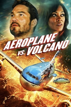 Poster 飞机和火山 2014