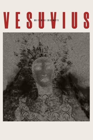 Poster Vesuvius 2012