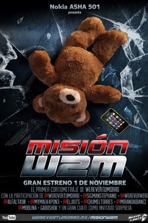 Poster Misión W2M 2013