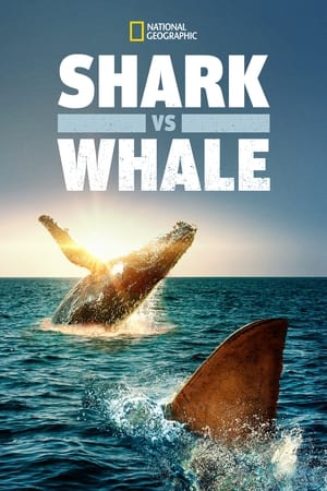 Poster Shark Vs. Whale 2020