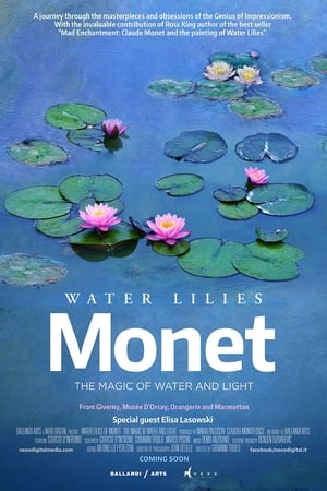 Image Monetove lekná - mágia vody a svetla