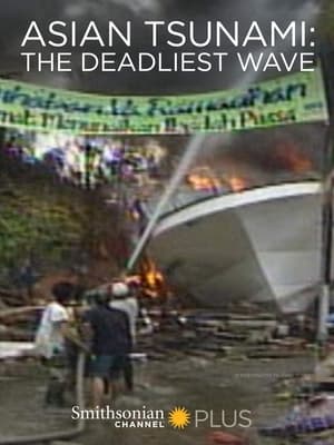 Poster Asian Tsunami: The Deadliest Wave 2014
