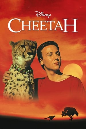 Poster Cheetah 1989