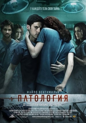 Poster Патология 2008