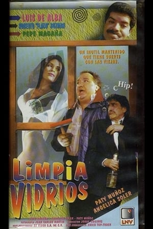 Poster El limpiavidrios 1995