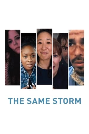 Poster The Same Storm 2022
