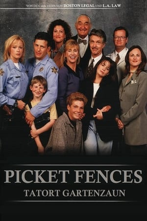 Poster Picket Fences Staffel 4 Zwei Männer und ein Baby 1996