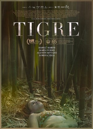 Poster Tigre 2017