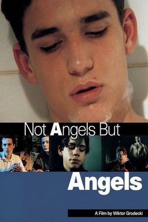 Poster Not Angels But Angels 1994
