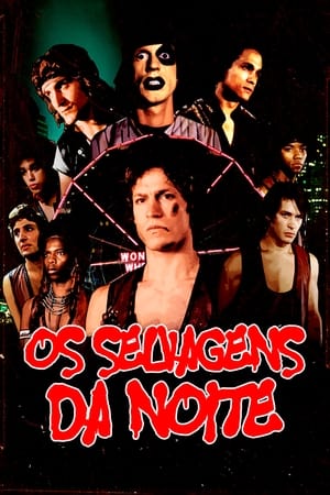 Poster Os Selvagens da Noite 1979
