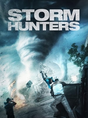 Poster Storm Hunters 2014