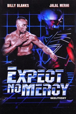Poster Expect No Mercy 1995