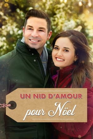 Poster Un nid d'amour pour Noël 2018