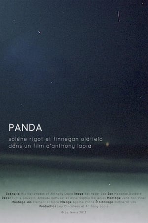 Poster Panda 2014