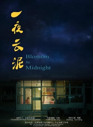 Poster 一夜云泥 2015