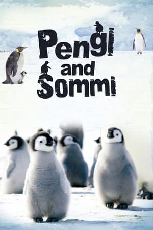 Poster Pengi and Sommi 2012