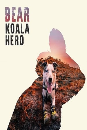 Poster Bear: Koala Hero 2020