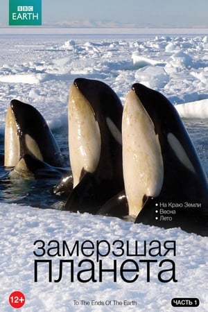 Poster Замёрзшая планета 2011