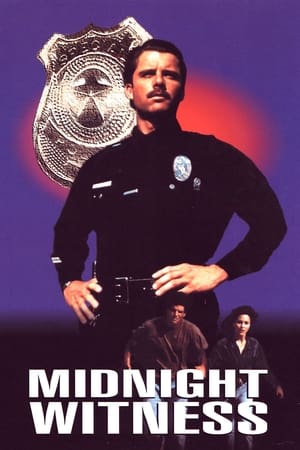 Poster Midnight Witness 1993