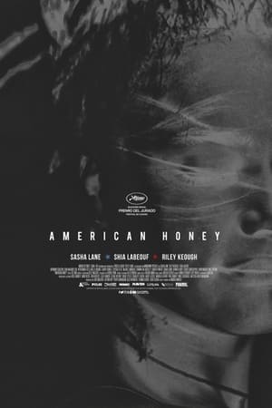 Poster American Honey 2016