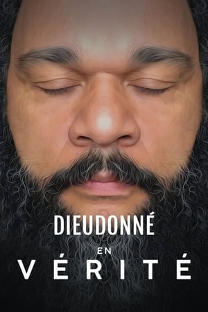 Poster Dieudonné - En vérité 2019