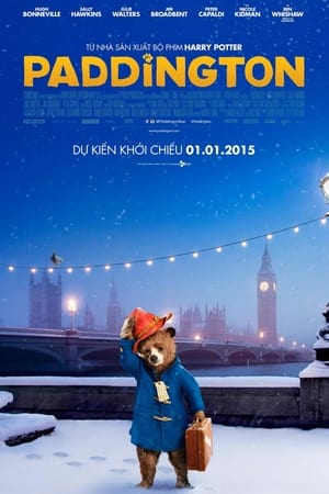 Poster Gấu Paddington 2014