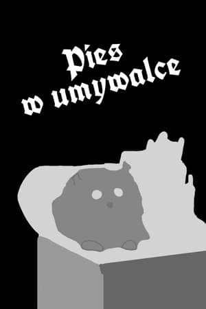 Image Pies w umywalce