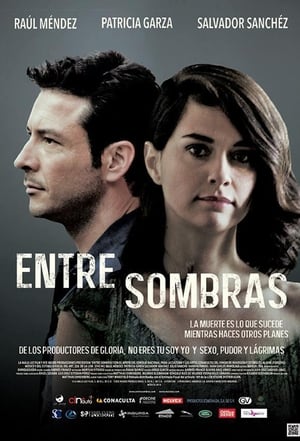 Poster Entre Sombras 2015