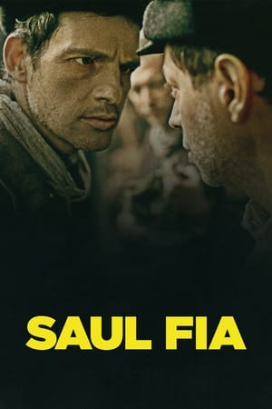 Poster Saul fia 2015