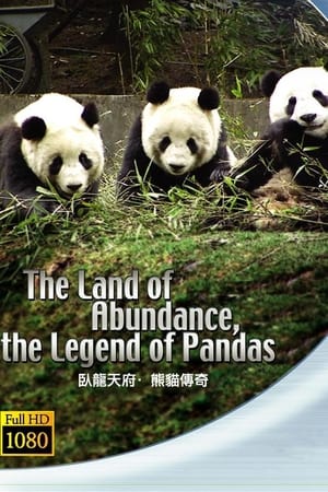 Image The Land Of Abundance The Legend Of Pandas