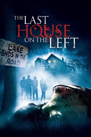 Poster Poslední dům nalevo 2009