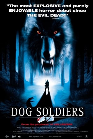 Image Dog Soldiers