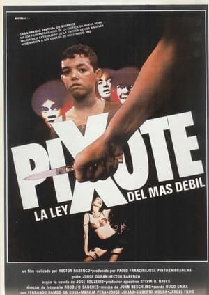 Poster Pixote, la ley del más débil 1980