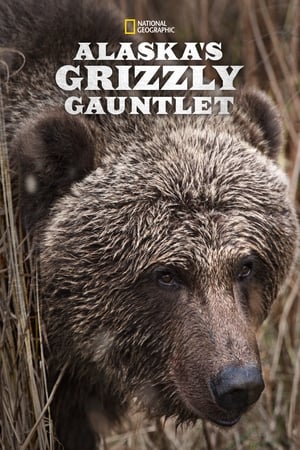 Poster Alaska's Grizzly Gauntlet 2018