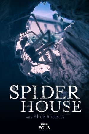 Image Spider House